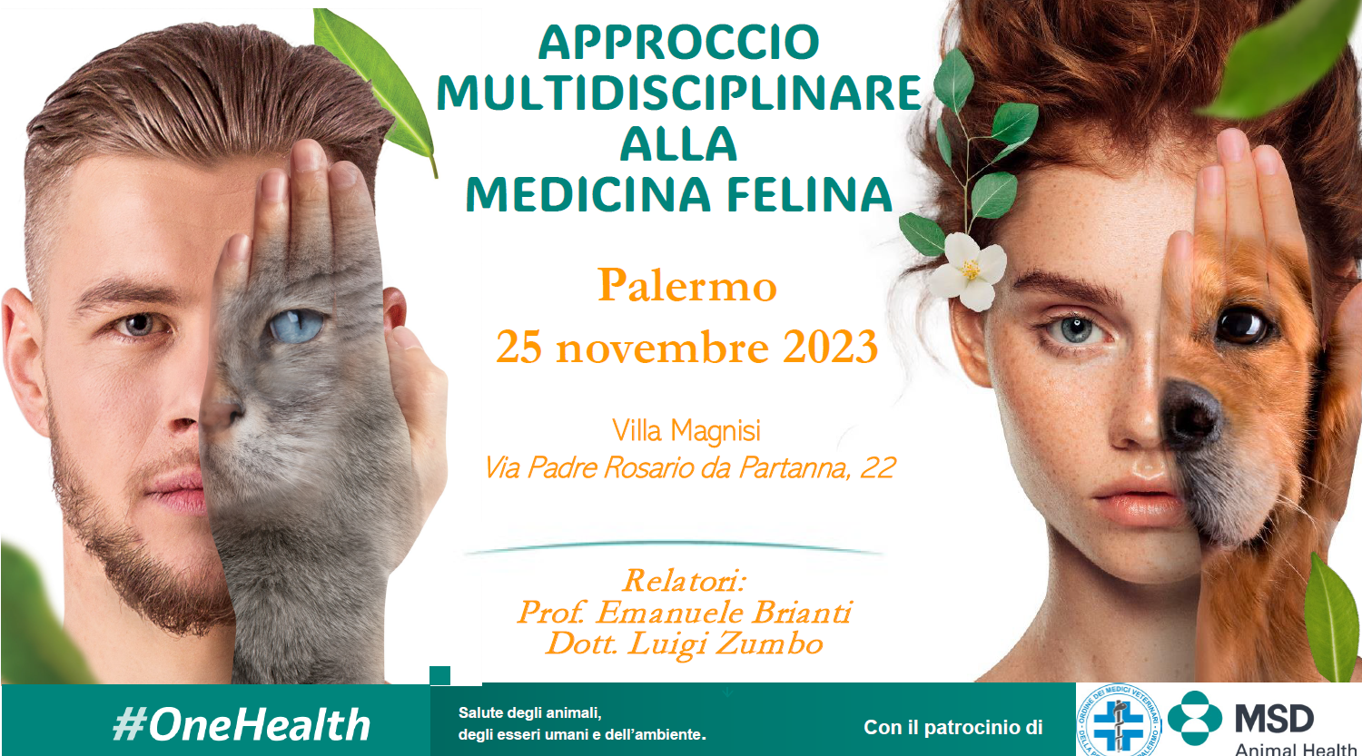 Approccio multidisciplinare alla medicina felina - 25 novembre 2023